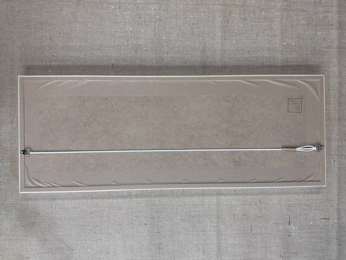 RADICAL (FRAMED) - shop_name