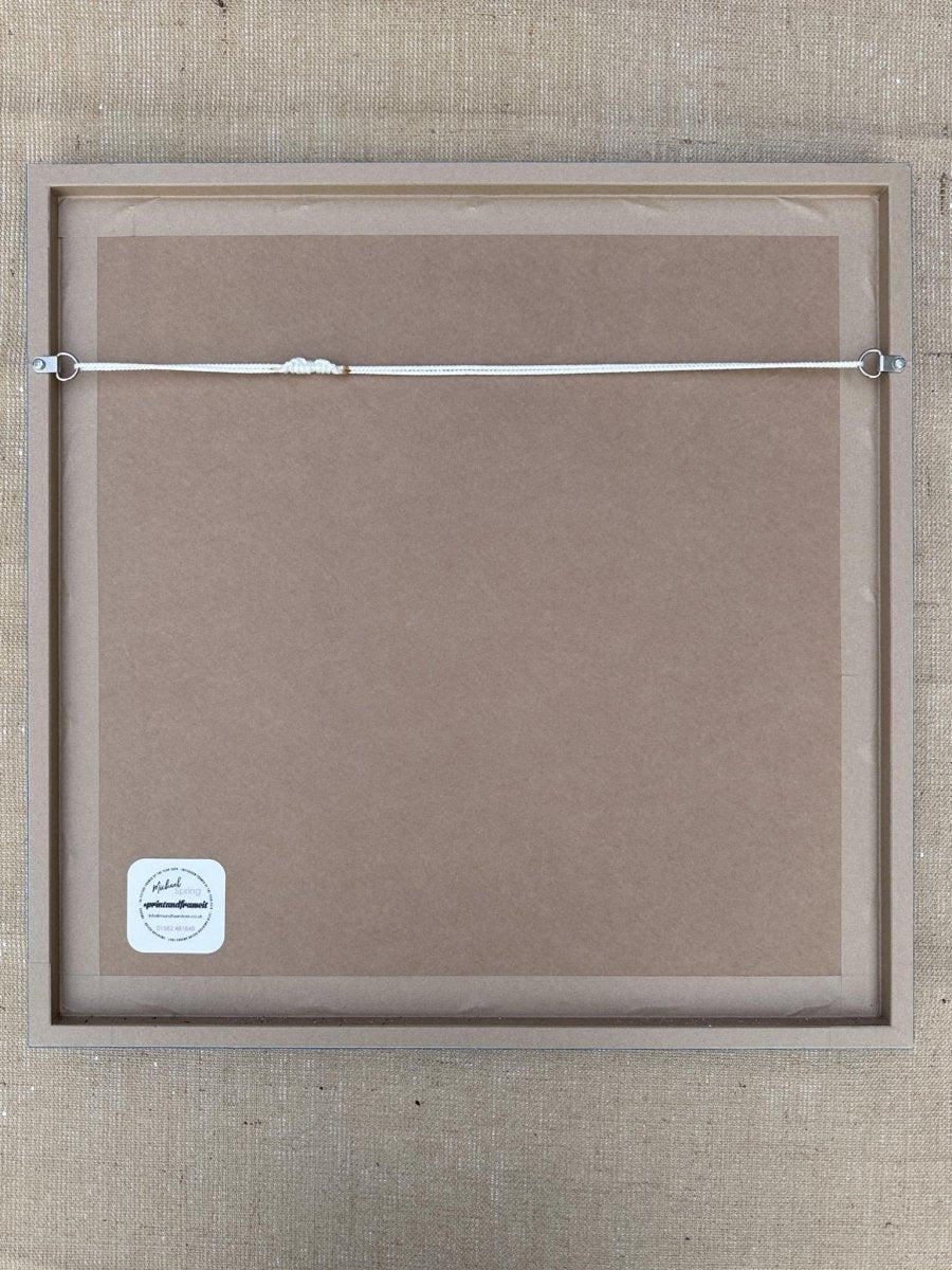 LET'S GO DISCO DIAMOND DUST (FRAMED) - shop_name